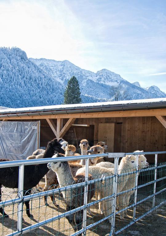 Pension Restner Inzell Esterno foto
